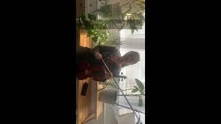 taylor swift violin covers | fearless