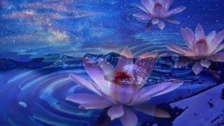 Shaina Noll ~ You Can Relax Now Video | Inspirational Spiritual Songs