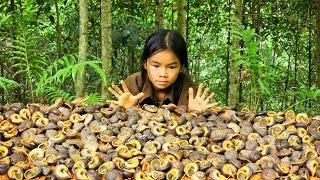 Orphan girl - experience alone in the forest make a living, Harvesting wild snails forest to sell