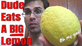 Some guy eating a really really big lemon (Citrus limon) - Weird Fruit Explorer Ep 296