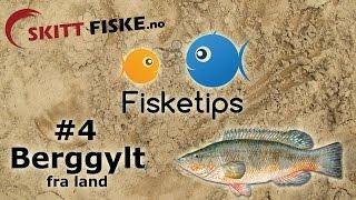 Fisketips #4 med Skitt Fiske - Fiske berggylt