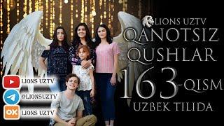 QANOTSIZ QUSHLAR 163 QISM TURK SERIALI UZBEK TILIDA | КАНОТСИЗ КУШЛАР 163 КИСМ УЗБЕК ТИЛИДА