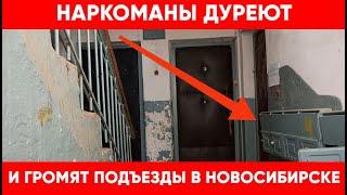 В Новосибирске наркоманы громят подъезды. Как отгородить молодежь от работы закладчика.