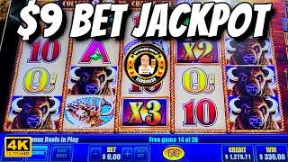 $9 bet JACKPOT on Buffalo Gold Bar-Top slot machine