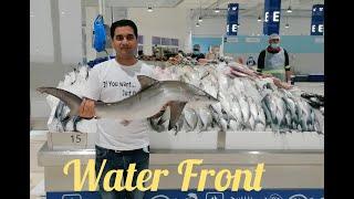 Water Front Dubai | Fish Market | Machli Bazar | Vlog