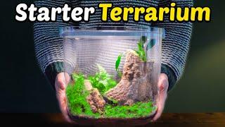 How To Make a Terrarium (2025 Update)
