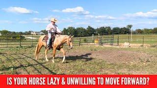 D/C How To Motivate a Lazy Horse