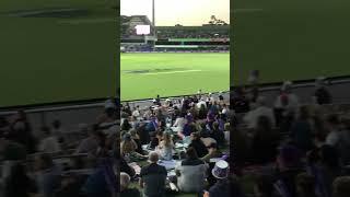#cricket #hobarthurricanes #hobart #beautiful stadium #Blundstone arena #love cricket #tasmania