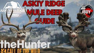The ONLY Guide You Need to Start Grinding the Great One Mule Deer