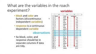 014b What is Tidy Data?