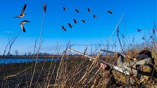 FIRST GOOSE HUNT 2023