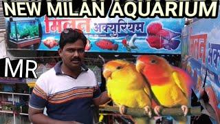 Bird's & Cages sale New MILAN AQUARIUM