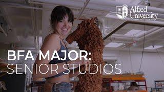 BFA Majors: Glimpse of Senior Studios | Alfred University