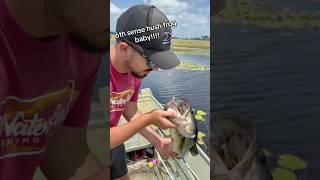 The best topwater bait on planet Milky Way!!! #louisiana #bassfishing ​⁠@6thsensefishing