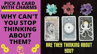 WHY CAN'T YOU STOP THINKING ABOUT THEM? ARE THEY THINKING ABOUT YOU?|CHARM PICK A CARD