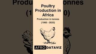 Trends in poultry production in Africa between 1965 and 2020 #africa #chicken #poultry #farming