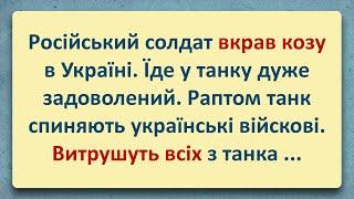 Росіянин вкрав Козу в Україні! Добірка Анекдотів Українською! Епізод #81