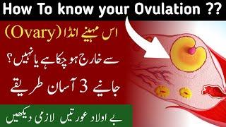 Know Your Fertile Days And Get Pregnant Fast | How To Know when Egg is Released From Follicle |