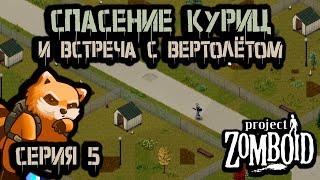 Штурм курятников | Build 42 | Project Zomboid 42.0.2 | Апокалипсис-42 #5