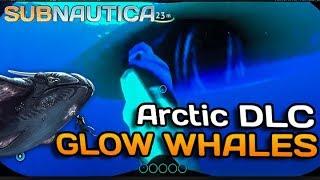 Subnautica Arctic DLC - GLOW WHALES | Subnautica News #102