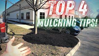 TOP 4 Mulching Tips!