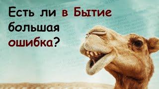 СОКРУШИТЕЛЬНАЯ КРИТИКА БИБЛИИ: ВЕРБЛЮДЫ