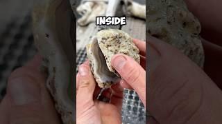 You have no idea what’s inside.. 
