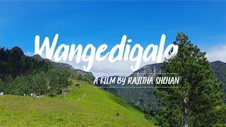 Wangedigala Camping | Rajitha Shehan Travel Vlog (Most Beautiful Places In Sri Lanka)