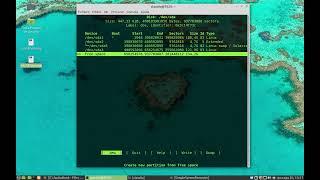 Mint Gparted fdisk cfdisk