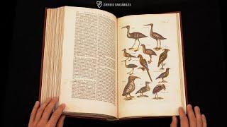 THE HISTORIA NATURALIS: DE AVIBUS - Browsing Facsimile Editions (4K / UHD)