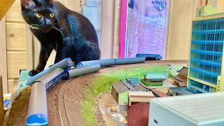 Do You Want to Take This Train? Cats Causing Train Accidents at the Diorama Café!