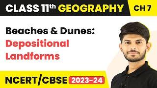 Beaches and Dunes: Depositional Landforms | Landforms and their Evolution | Class 11 Geography