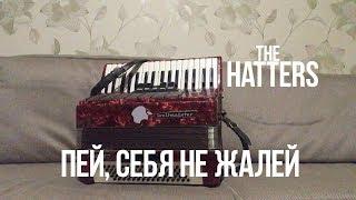 The Hatters - Пей, себя не жалей ( Accordion cover )