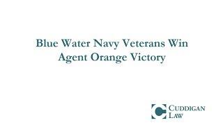 Blue Water Navy Veterans Win Agent Orange Victory