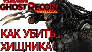 КАК УБИТЬ ХИЩНИКА в Ghost Recon Wildlands Predator советы Охота на Хищника