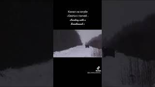 Охота с русскими гончими на зайца, ч.п\ч Сигнал (Плакуня) вл. Шатров В.А.