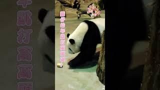回顧圓仔公主跳打窩窩頭的神勇！20250618
