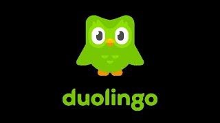 Duolingo #2964 Spanish - English (Part 14 - Suggestions and Past Tense 5)