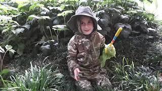 Searching for anacondas