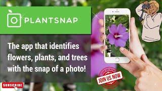 How to use Plant snap App  (Plant identification App)