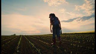 ‍Boosting support to EU young farmers