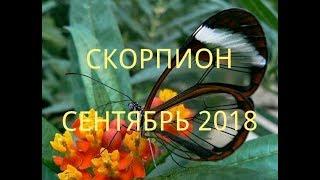 СКОРПИОН - ТАРО ПРОГНОЗ НА СЕНТЯБРЬ 2018 года