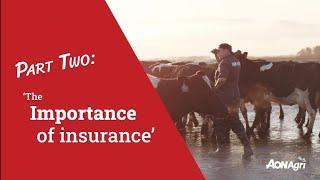 Yarns on the farm, with Tangaroa Walker: Part 2, The importance of insurance.