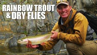Dry Fly Fishing Rainbow Trout - Gorgeous Stream Trout Fishing (Dry Fly Fishing Rainbow Trout)