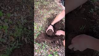 'Record-breaking’ 1kg discovery found on Aussie property | Yahoo Australia