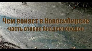 Чем воняет в Новосибирске. Часть вторая - Академгородок.