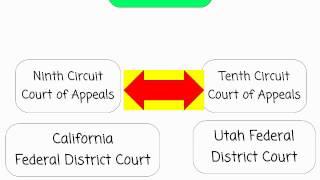 What is a Circuit Split