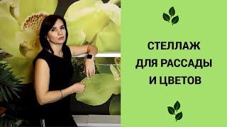 Лучший стеллаж для рассады и цветов