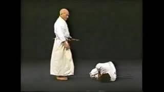 Iaido Scenario Chuden 06 岩浪 Iwanami Sagawa Hakuo Sensei 9D