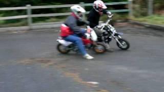 rc50f vs xsport 110